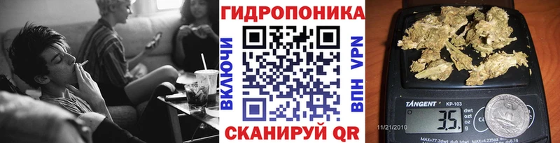 Бошки Шишки OG Kush  Купить закладки  Шарыпово 